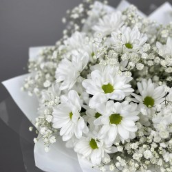 orig (1)37
